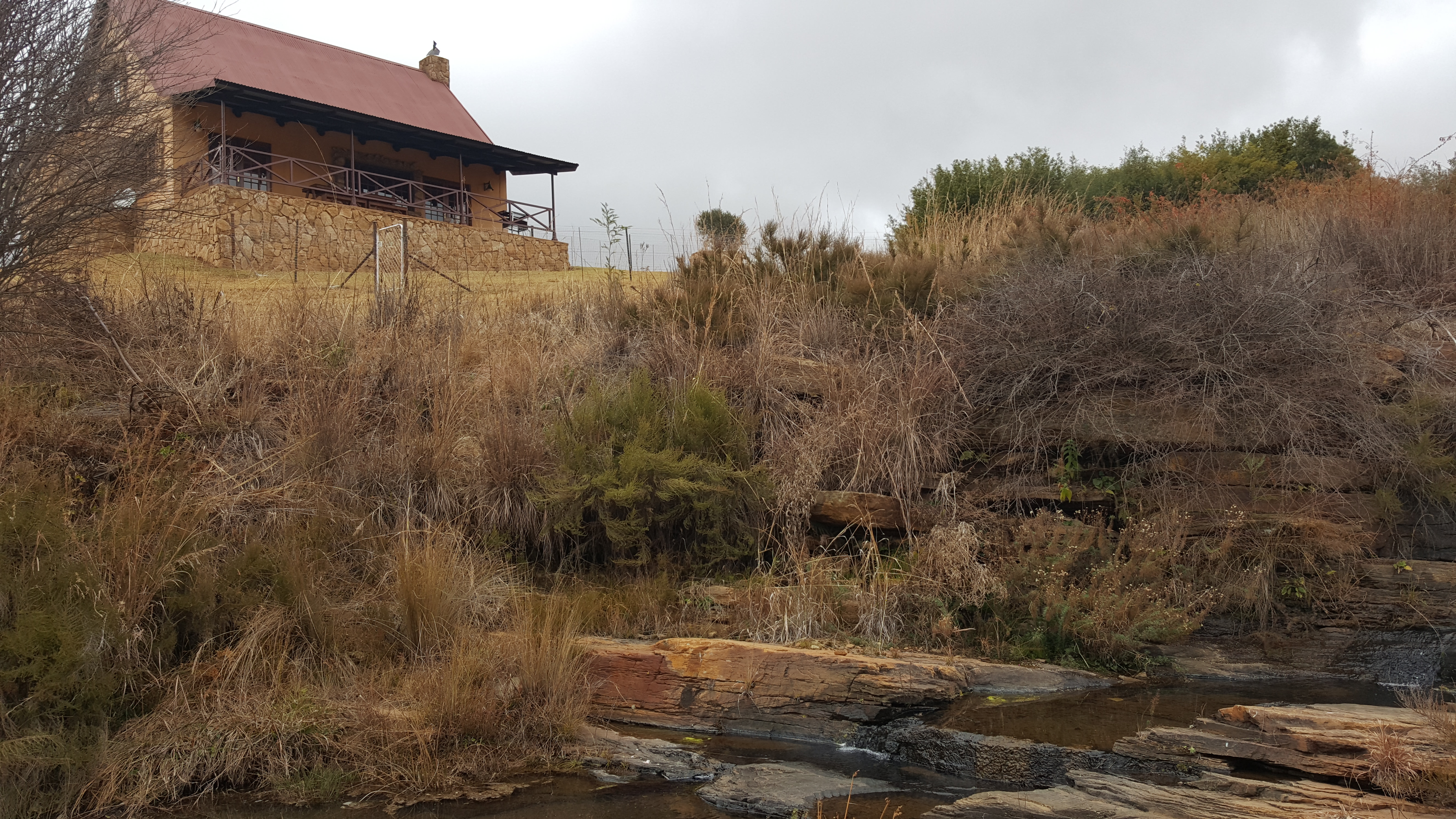 Guinea Fowl Cottage Highland Giants Estate Dullstroom