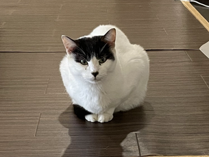 10月28日(水)のブログ