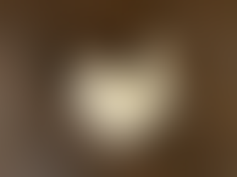 1月28日(木)のブログ