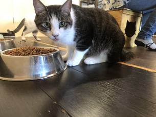 10月4日(日)のブログ