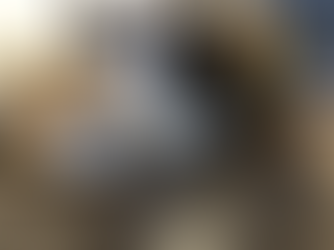 10月4日(日)のブログ