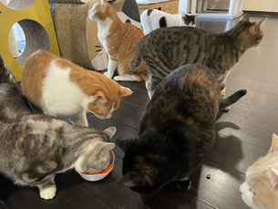 1月26日(火)のブログ