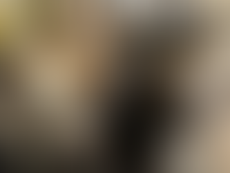 1月26日(火)のブログ