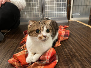 1月7日(木)のブログ