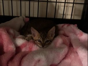 9月6日(日)のブログ