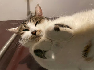 1月22日(金)のブログ