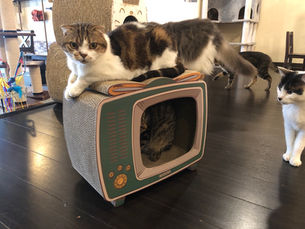 7月30日(木)のブログ