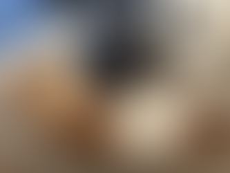 2月3日㈬のブログ