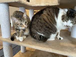 1月5日(火)のブログ