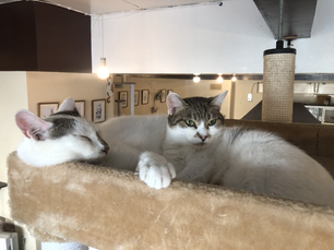 10月16日(金)のブログ