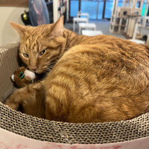 ゴールデンウイーク期間の営業時間について(2026年)