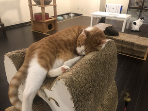 10月15日(木)のブログ