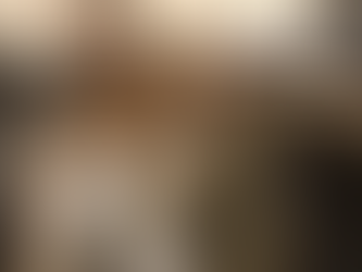 10月15日(木)のブログ