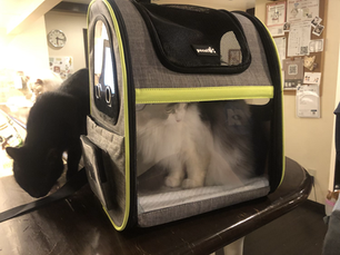 9月26日(土)のブログ