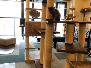 7月5日(日)のブログ