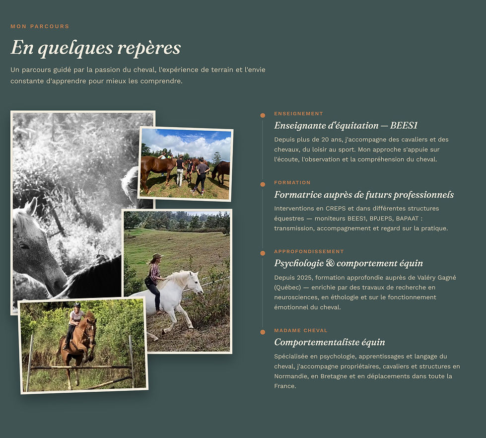 Mon parcours en quelques reperes site.jpg