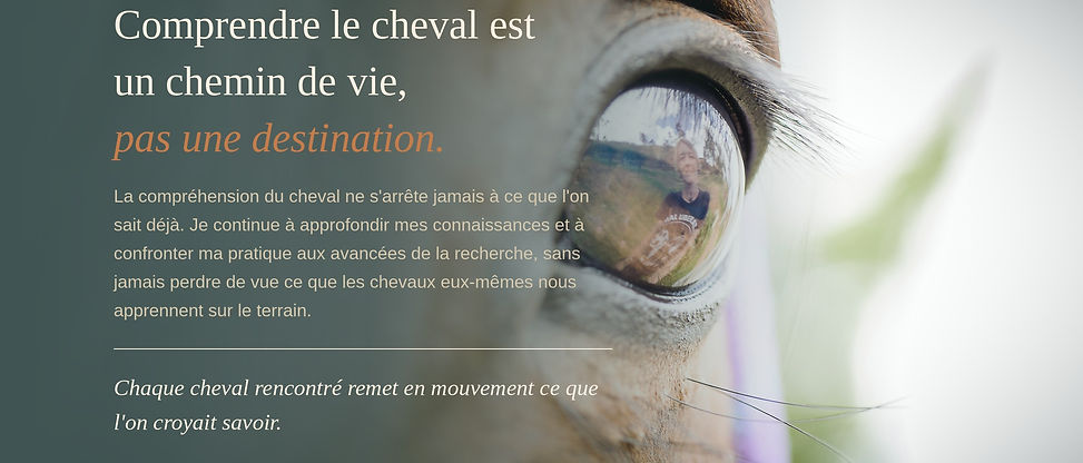madamecheval-banniere-destination_1.jpg