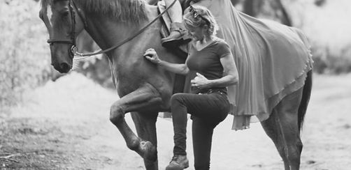 Equitation du lien