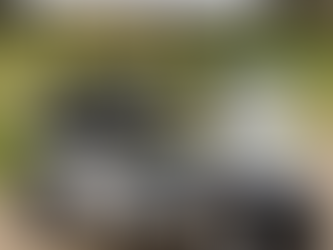 Custom Golf Carts for Sale: What to Look For and Where to Buy