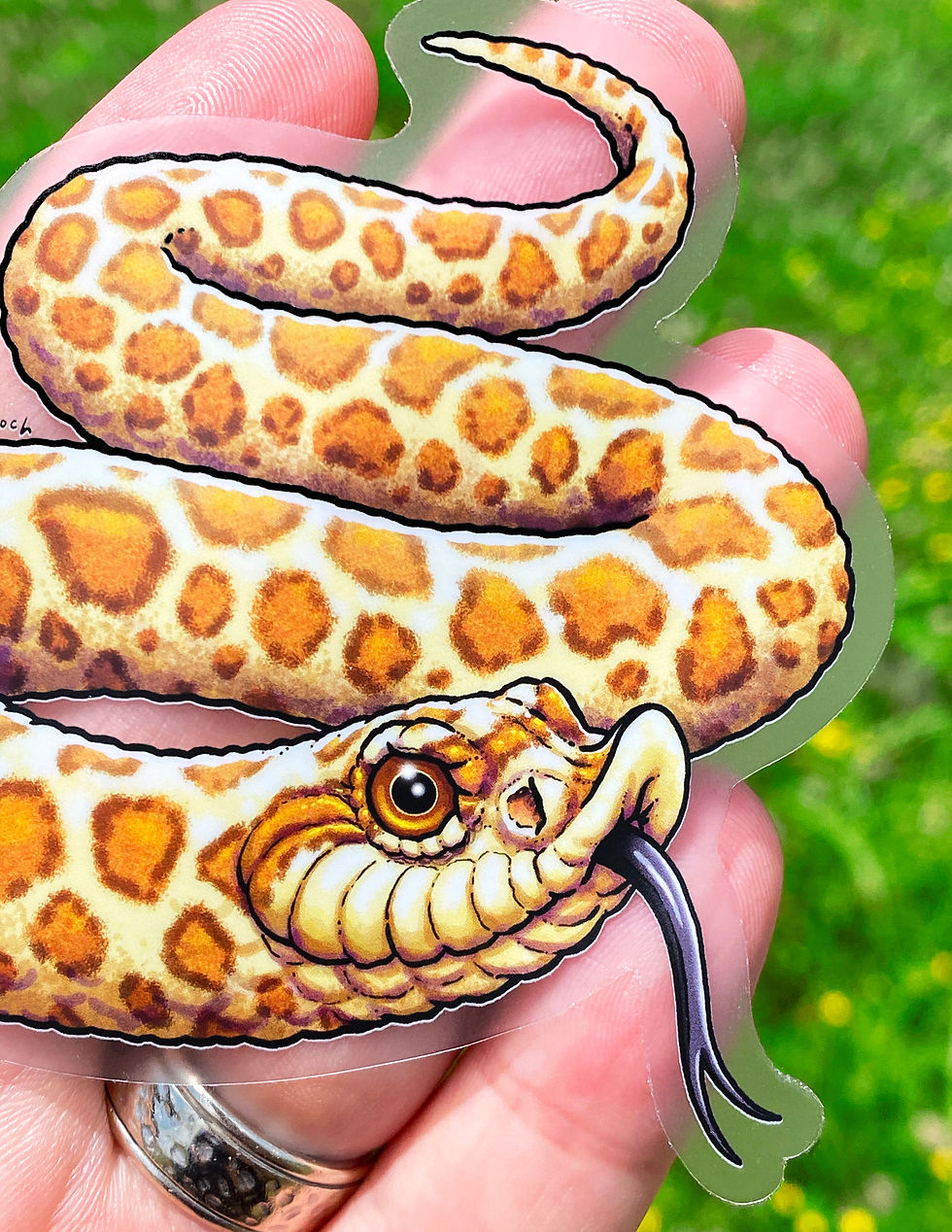 Thumbnail: Hognose Snake (5 count)