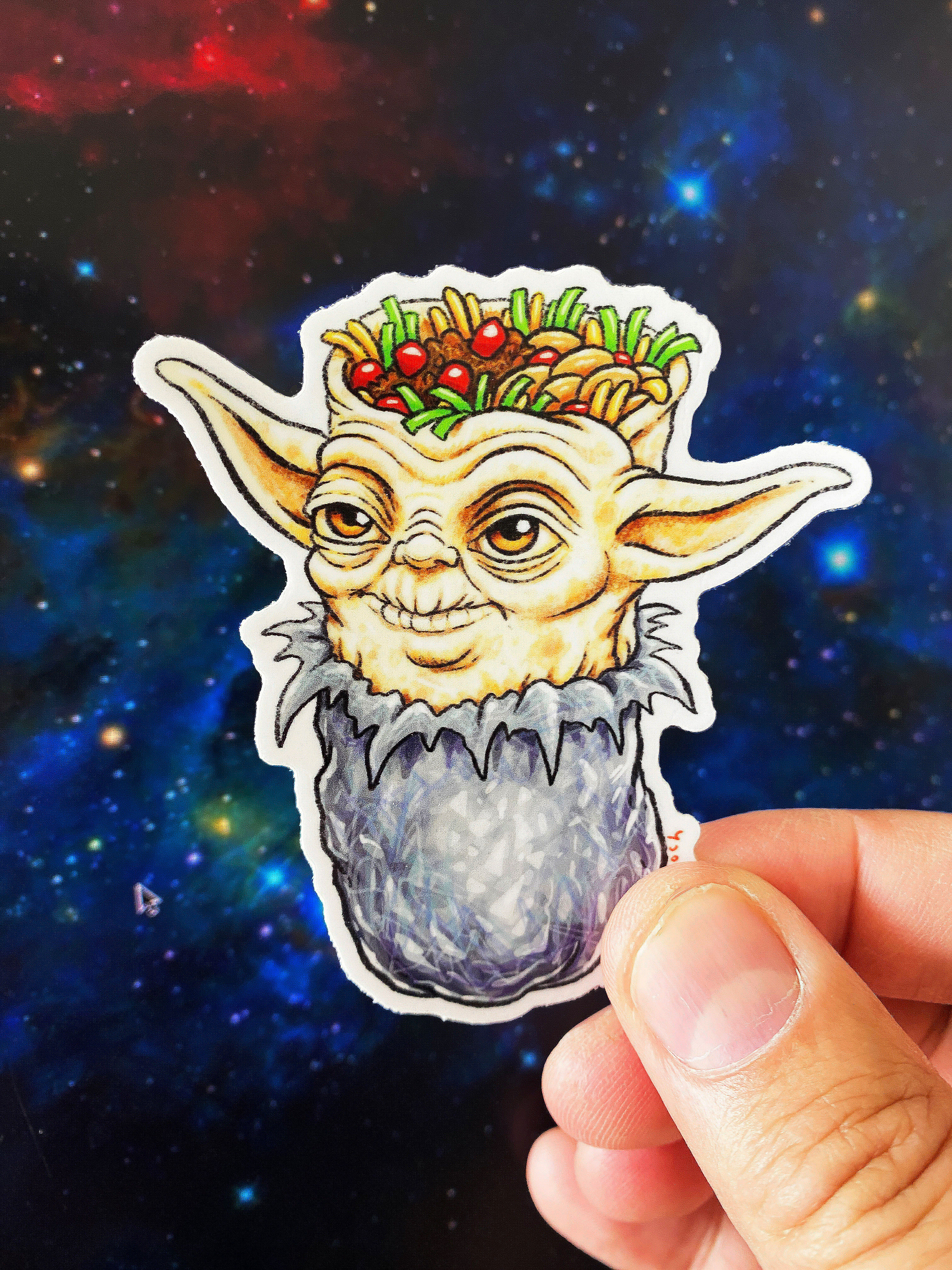 Yoda Burrito (5 Count)