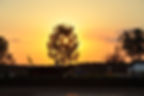1332969240NDSC_0755
