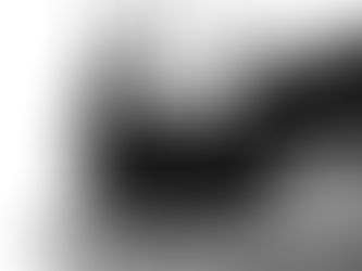 QU'EST-CE QUE LA PERFECTION ?