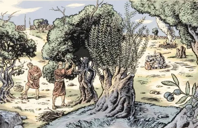 Das heutige Israel und die Wiederherstellung