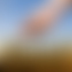 Seed, TIME, And Harvest...