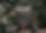 Screenshot 2025-02-19 at 10.53.11 AM.png