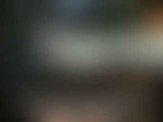 【天草地域森林組合】地域おこし協力隊 募集― 申込締切：1月30日 ―