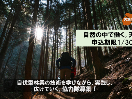 【天草地域森林組合】地域おこし協力隊 募集― 申込締切:1月30日 ―