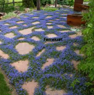 Malla anti raiz y mala hierba Ground Cover, manto drenante