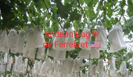 Miniatura: Cobertor Biomanto Fda bolsa BioTermica  frutas y perecibles delicados uva banana