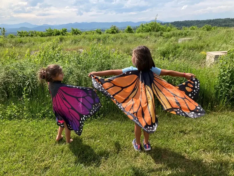 Two toddlers wearing pretend butterfly wings in a green field.
