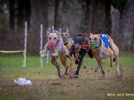 SOMOS January 2026 Race Meet