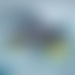 CFK9 Christmas Cluster 2025