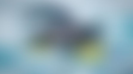 CFK9 Christmas Cluster 2025