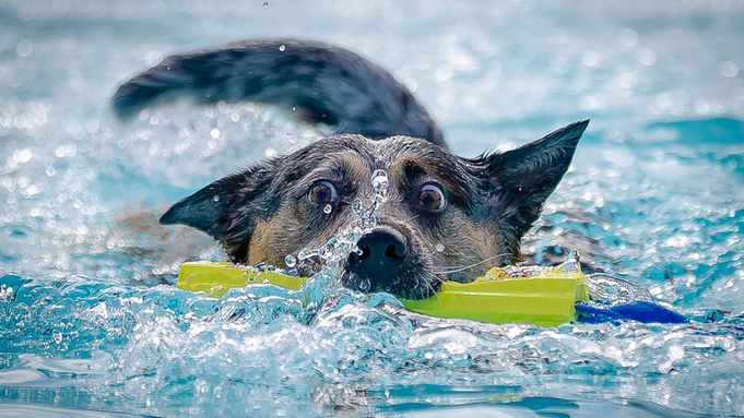 CFK9 Christmas Cluster 2025