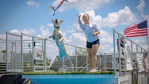 Dock Diving at FLK9 Sports - April 2026