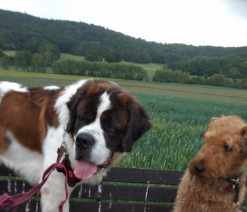 Bildschirmfoto 2022-04-13 um 14.18.03.png