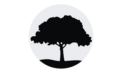 NÚCLEO DE (1).png