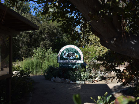 Buildings on El Modena 
