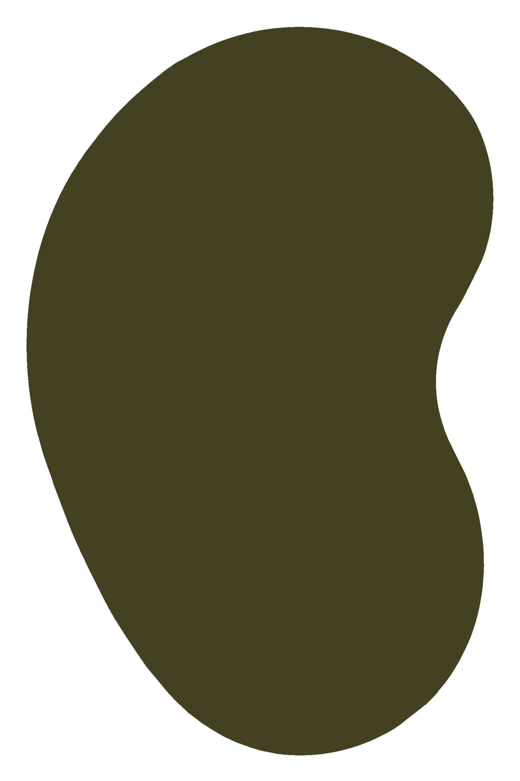 Tapis-Haricot-Vert.gif