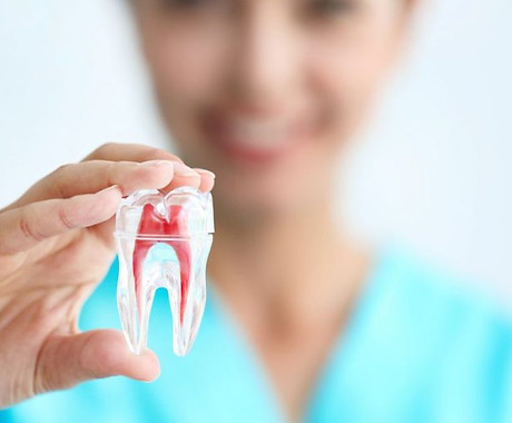 endodontia.jpg