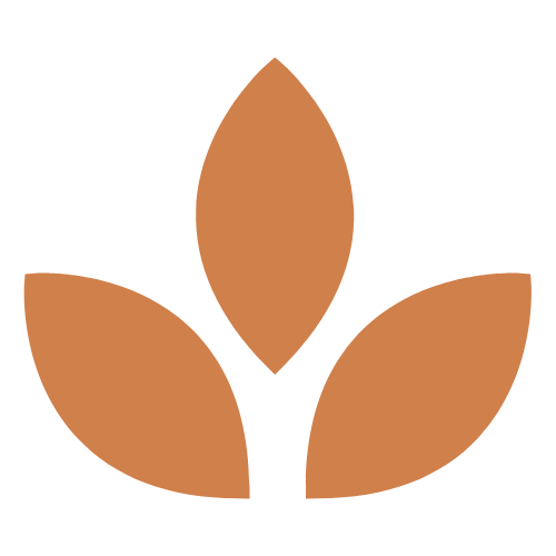 LOW ENERGY NEUROFEEDBACK SYSTEM