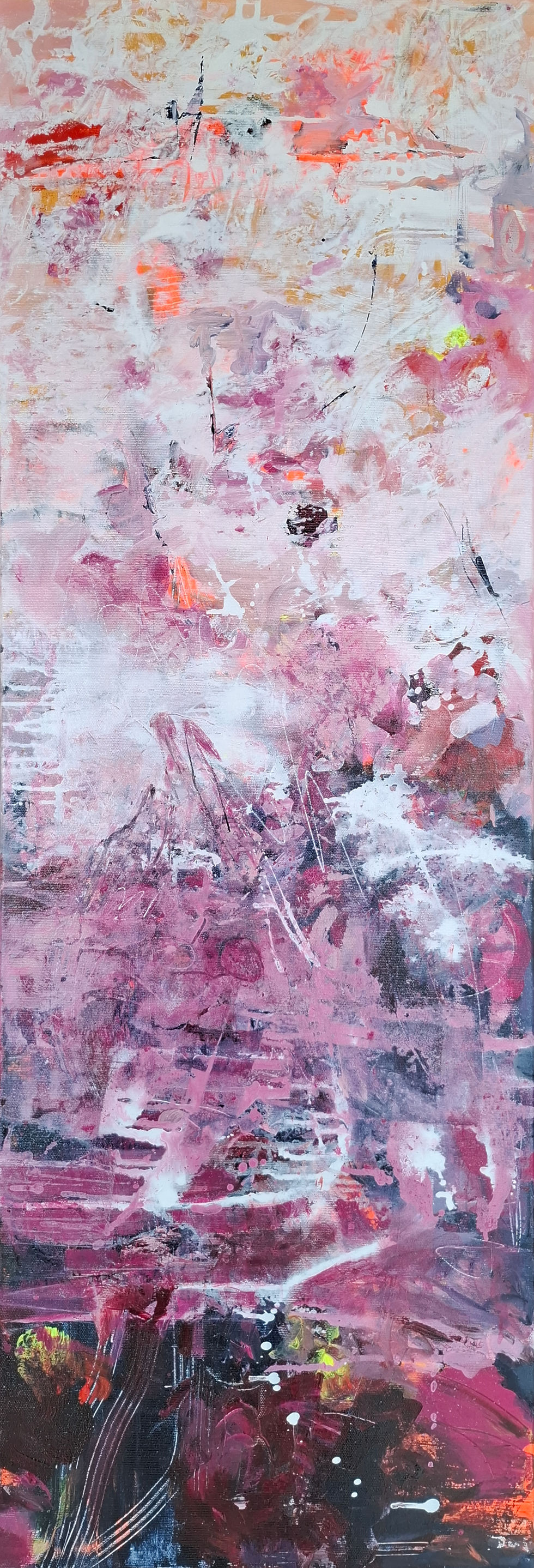 Himbeeren zum Frühstück