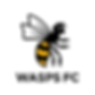 Wasps Rugby Club