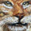 Thumbnail: Lynx - Original Painting