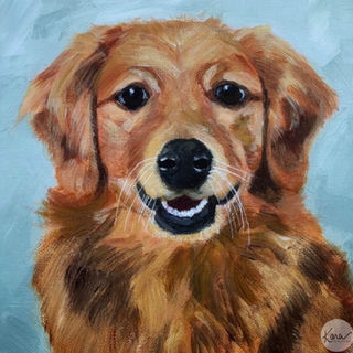 Golden Retriever